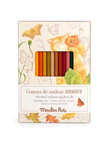 Crayons de couleur et cartes Animaux...