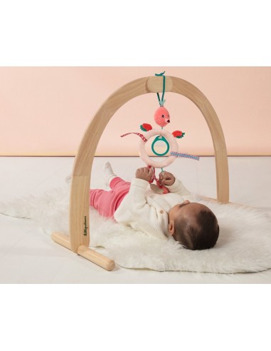 Lilliputiens Attrape Lumiere Anais Jouets Pour Poussettes Bebe Puericulture Dwteam In