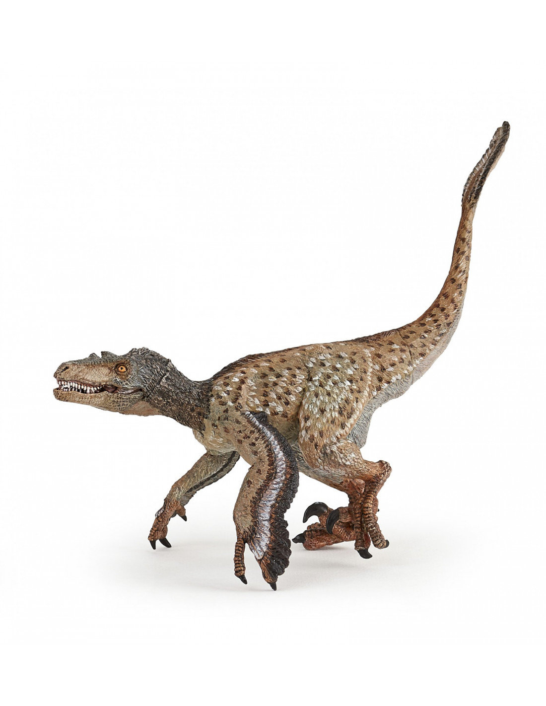 https://www.lapouleapois.fr/41384-thickbox_default/figurine-dinosaure-velociraptor-a-plumes-papo.jpg