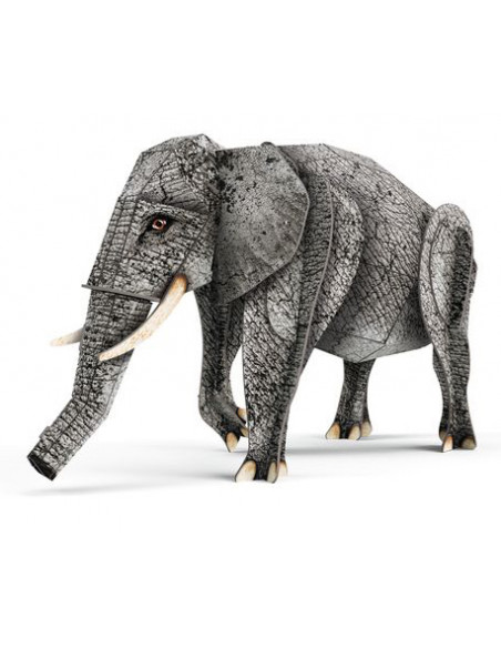 Livre Et Maquette 3d Elephant La Jungle Sassi