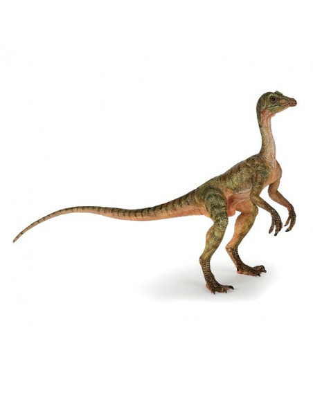 Coffret 7 figurines dinosaures Animal world : King Jouet, Mondes  imaginaires Animal world - Jeux d'imitation & Mondes imaginaires
