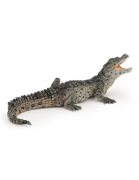 jojofuny 1 Pc Animaux Simulés Jouets Jouet De Figurine De Crocodile Modèle  Croco Figurine d'animal Crocodile Figurine Crocodile Jouet Crocodile Enfant