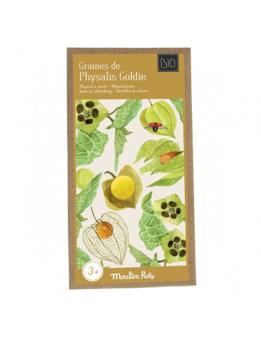 Graines de physalis le jardin du...