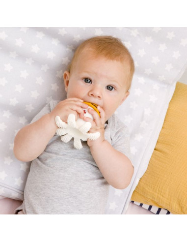 Mombella Jouet de dentition en forme de pieuvre pour bébés de 6 à 12 mois,  jouet de dentition pour bébé de 6 mois, jouet de dentition pour nourrisson