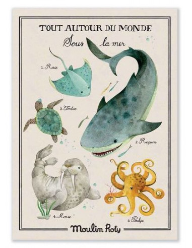 Poster à colorier cherche et trouve : la mer - Coloriages