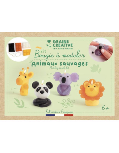 6 ballons animaux sauvages