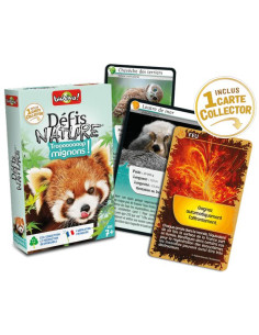 Top 30+ des cadeaux pour les fans de pandas roux